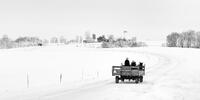 The Road Home