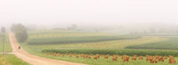 Tri-County