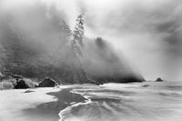 Rising Mist
