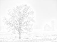 Early Blizzard