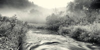 Downstream Run
