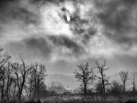 Breaking Fog
