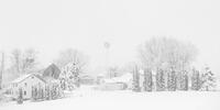 Winter's Embrace