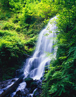 Ghost Falls