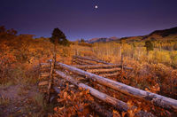 Harvest Moon