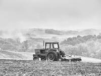 Planting Season