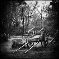 Horse Cart