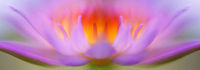 Inner Glow