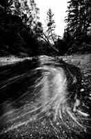 Upstream Run