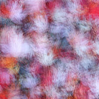 Maple Leaf Abstraction 
