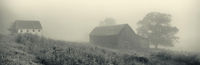 Morning Fog