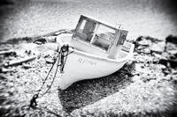 Newfoundland Dory