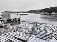 Quiet Harbor