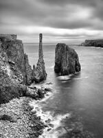 Queen Of The Coast