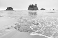 Turning Tide
