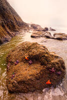  Prehistoric Coastline