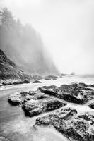 Mist And Tide