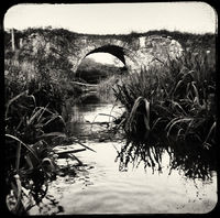 Paddock Creek
