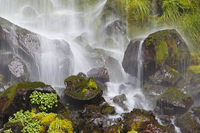 Rhythm And Flow