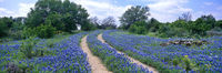 Road To The Ranch