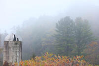 Silo, Sumac, And White Pine