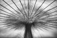 Spin Me Round And Round...