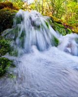 Surfacing Spring