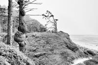 Path To The Sea
