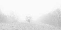 I Stand Alone