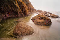 Color Among The Rocks