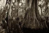 Sweetwater