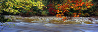 Swift River