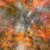 Fragments