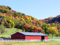 Spring Coulee Farm