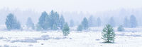 First Snow