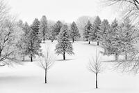 Winter's Symmetry