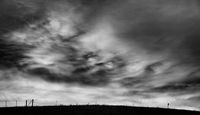 Edge Of Night