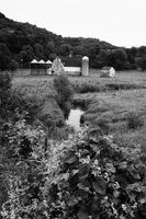 Following The Creek