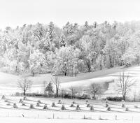 Valley Shadows