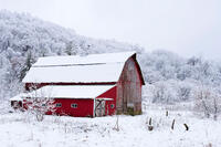 Frosty Morning
