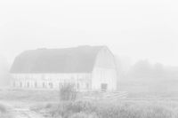 Morning Mist