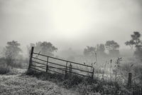 Farm Gate