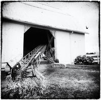 Filling The Barn
