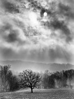 Clearing Fog