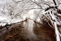 Spring Snow