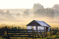 Morning Mist