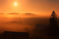 World Full Of light