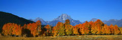 Indian Summer