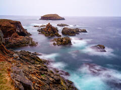 Where the Seabirds Nest