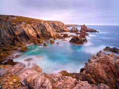 Concealed Cove